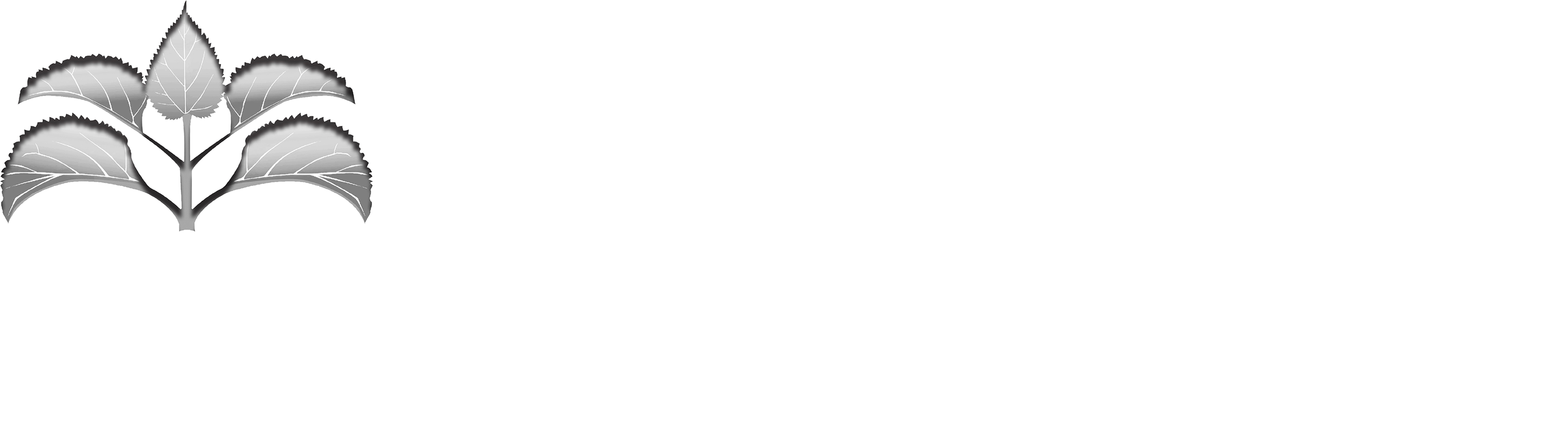 Rich Mulberry Digital Wood Labo
